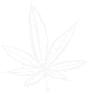 KGI_Grey-Leaf-Sketch_scaled